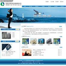 數(shù)字藝術(shù)之韻 50款行業(yè)網(wǎng)站精品欣賞